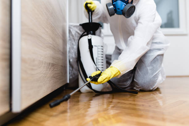 Best Pest Control for Restaurants  in Cutler, CA