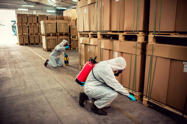 Professional Pest Control in Cutler, CA
