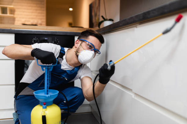 Best Bed Bug Extermination  in Cutler, CA
