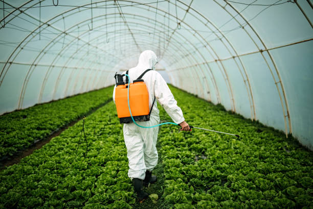 Best Emergency Pest Control  in Cutler, CA