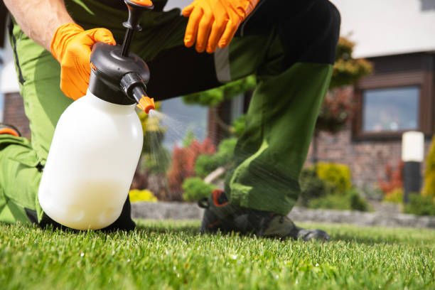 Best Cockroach Control Services  in Cutler, CA