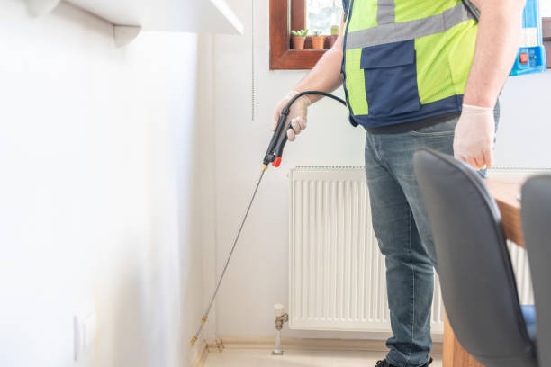 Best Wasp Removal Services  in Cutler, CA