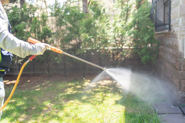 Best Pest Control Near Me  in Cutler, CA