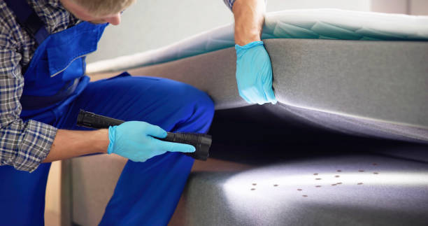 Best Pest Removal Services  in Cutler, CA