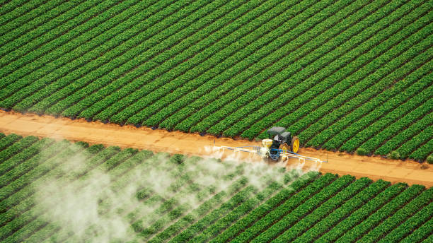 Reliable Cutler, CA Pest Control Solutions
