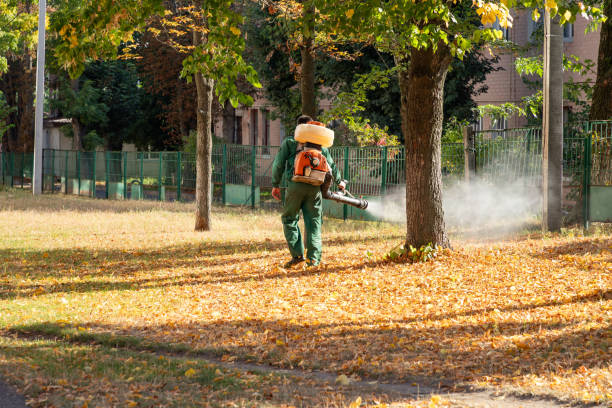 Pest Control for Restaurants in Cutler, CA