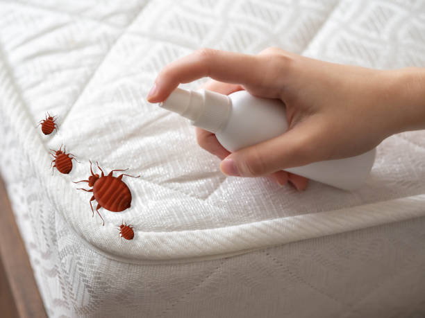 Best Pest Prevention Services  in Cutler, CA
