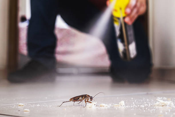 Best Pest Inspection Near Me  in Cutler, CA