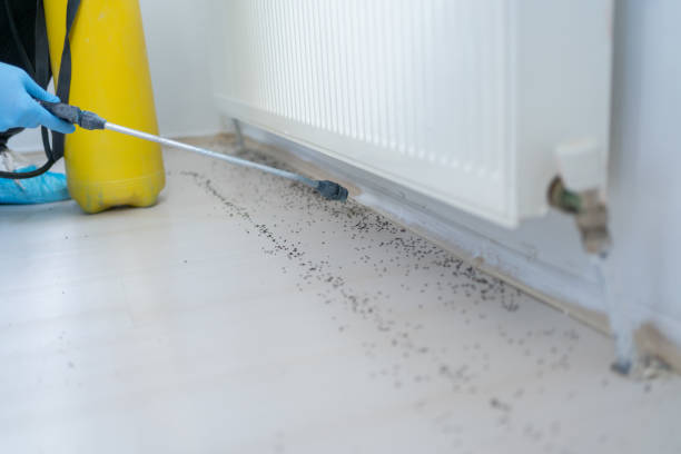 Best Commercial Pest Control Services  in Cutler, CA