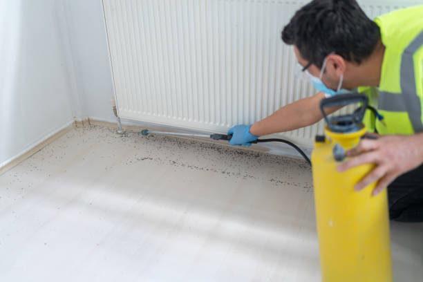 Best Mosquito Control Services  in Cutler, CA